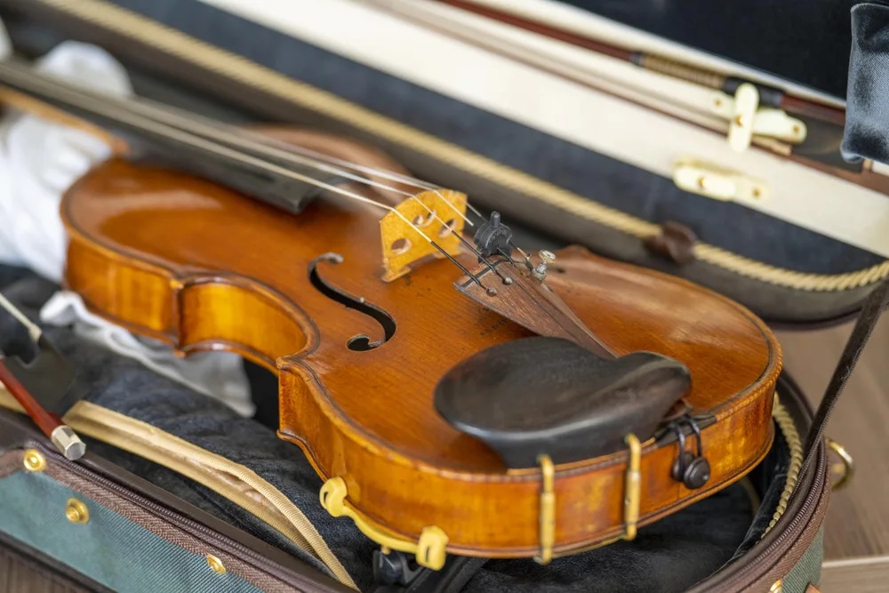 A violin in its case, 2022