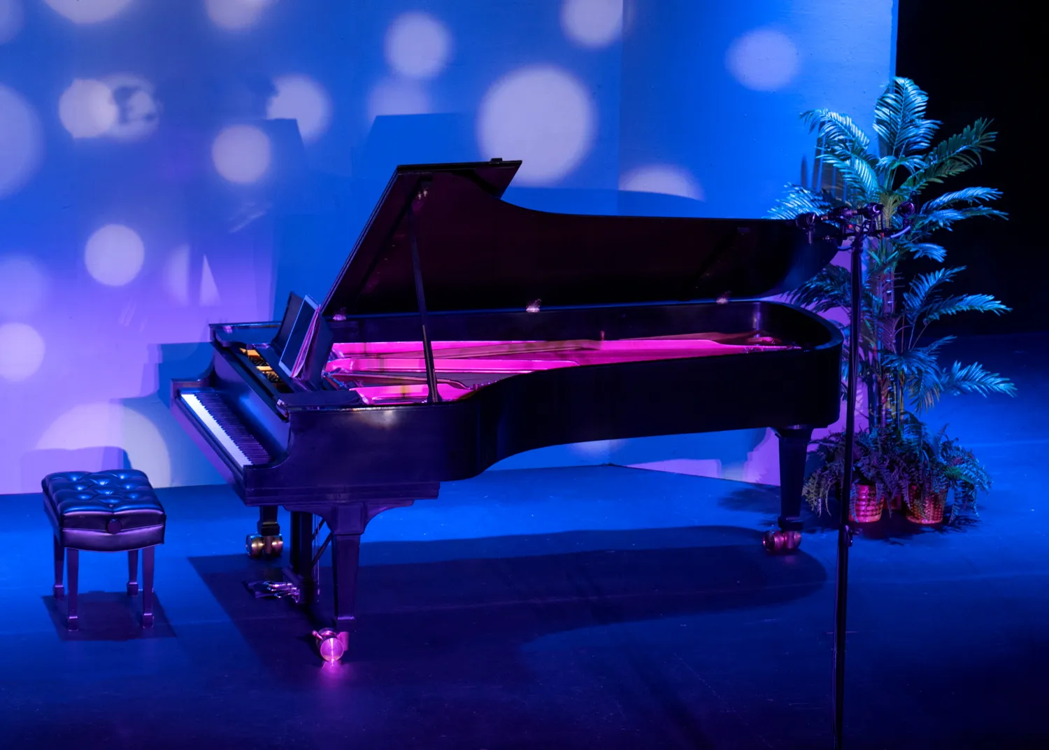 A grand piano on stage under purple and blue light