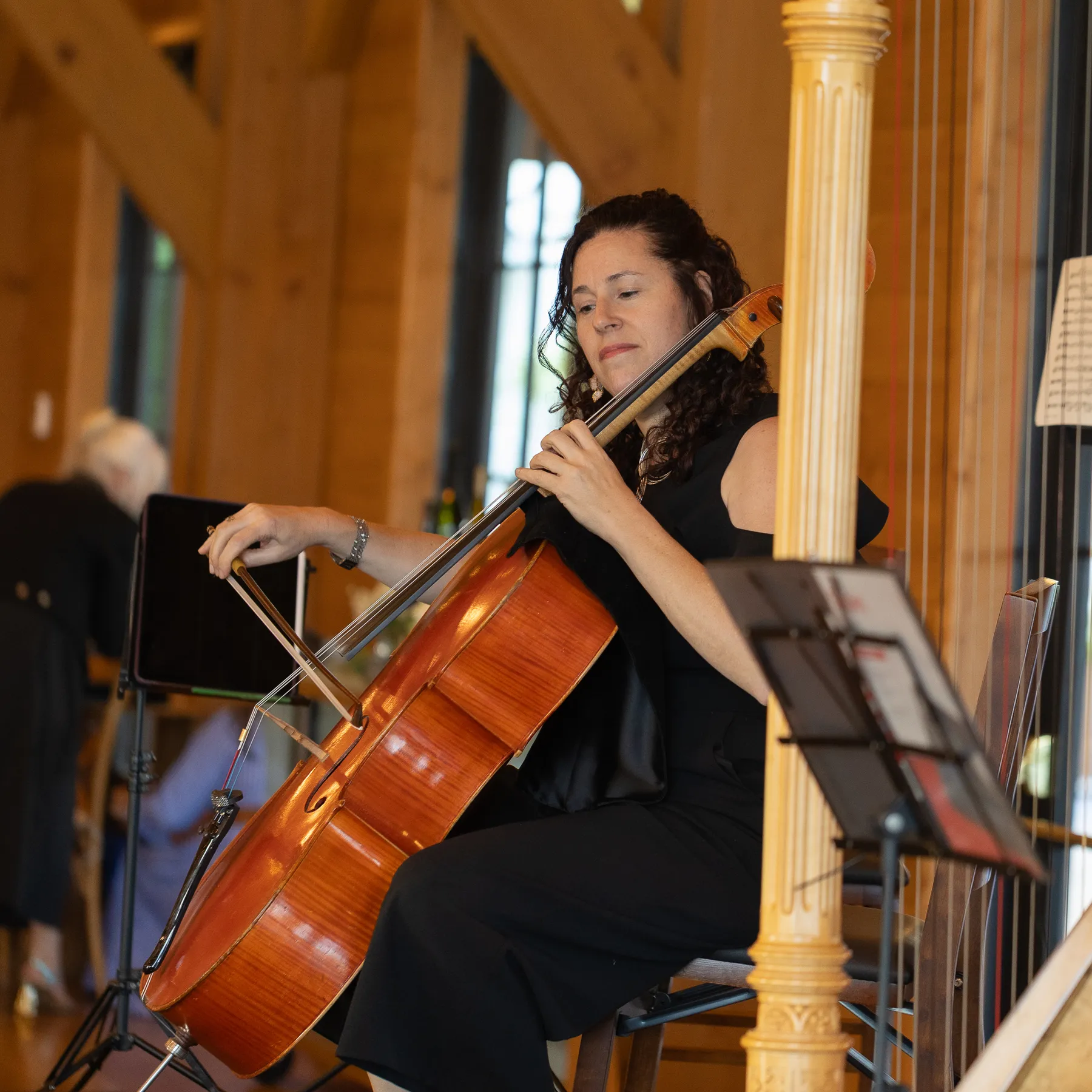 A cellist in the Lake House hall