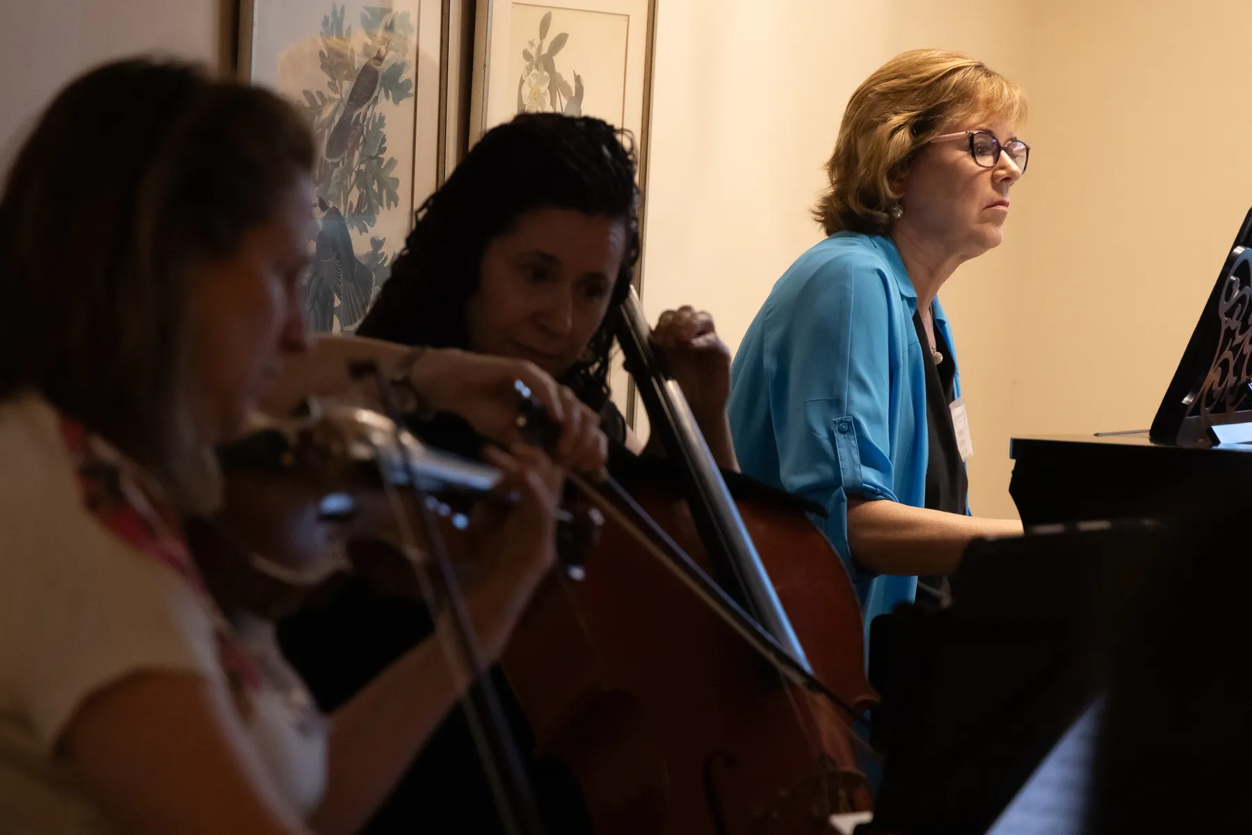 Violin, cello and piano in the living room